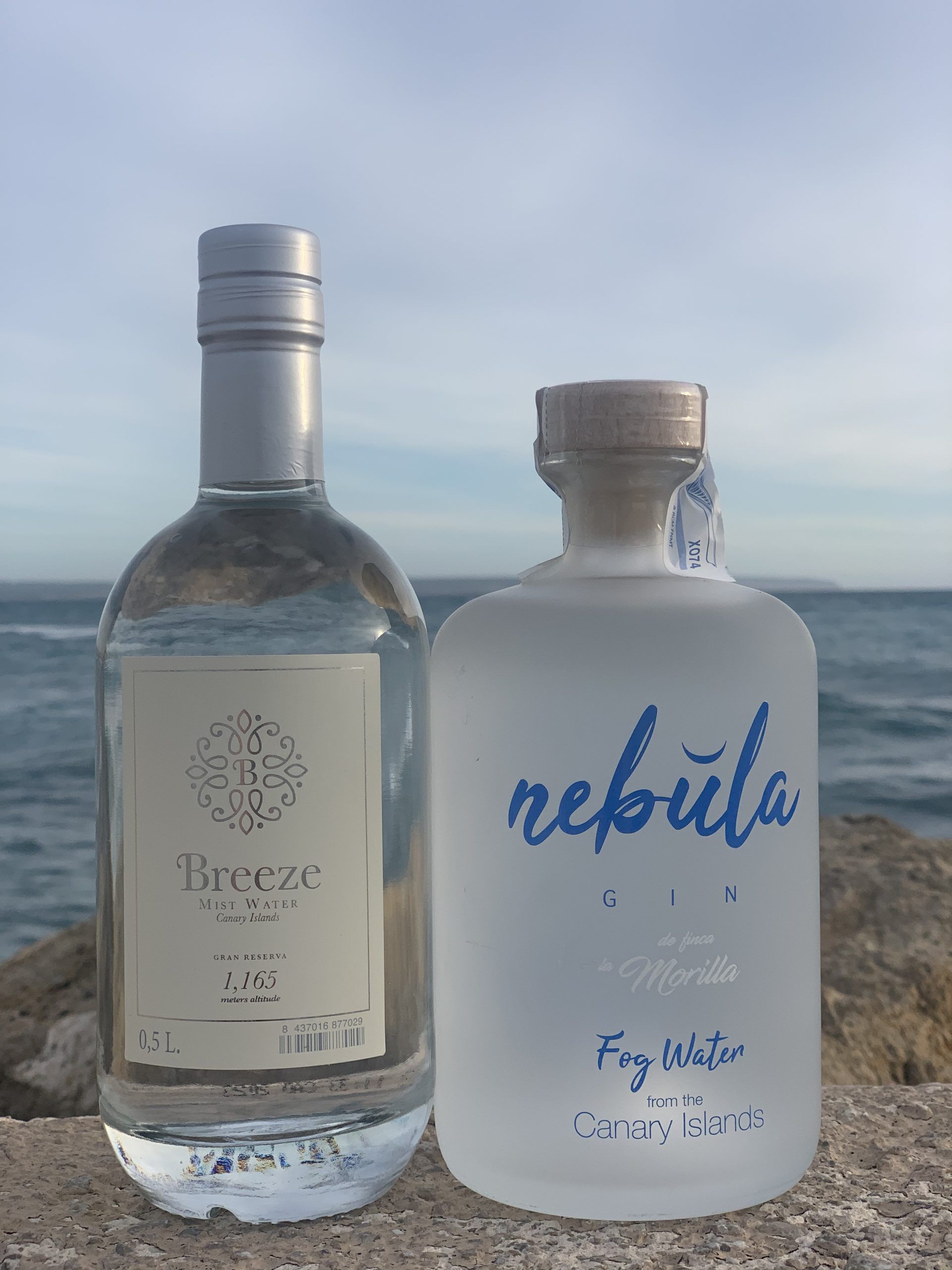 Breeze + Gin Nébula