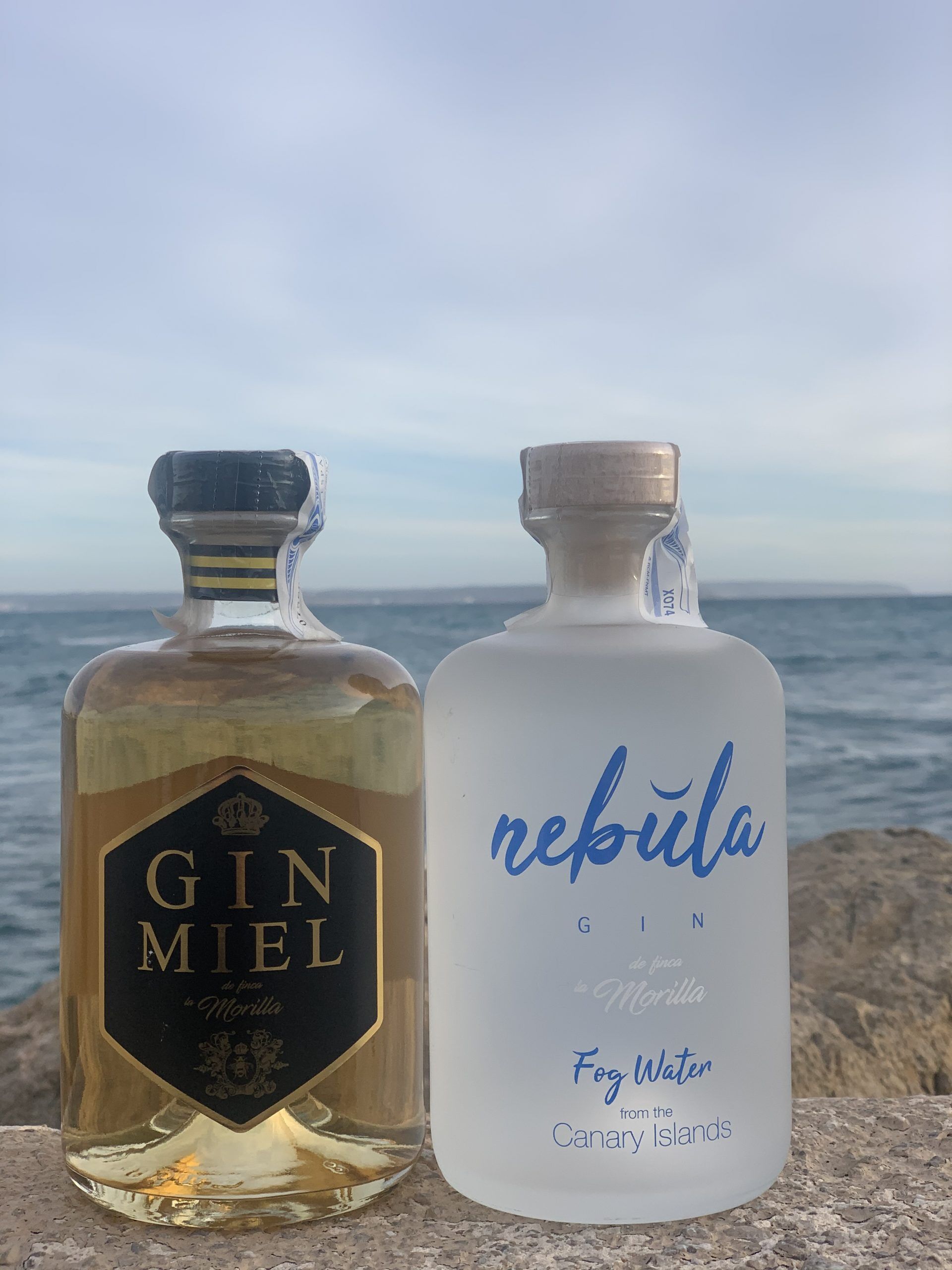 Duo Gin: Gin Nebula + Gin Miel